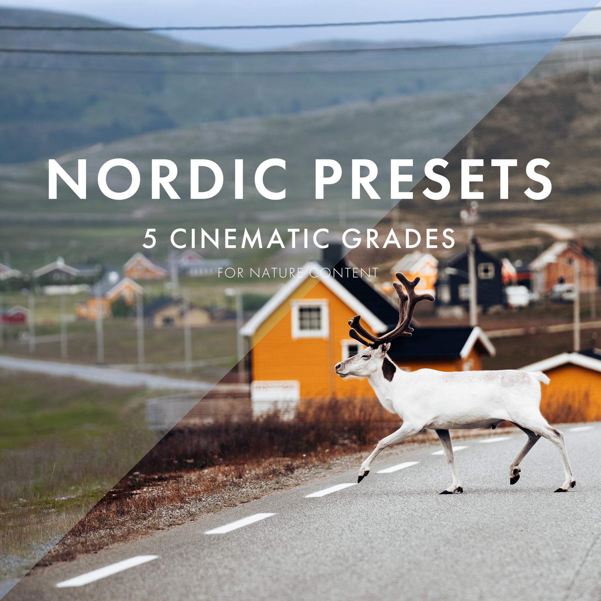 Nordic Presets